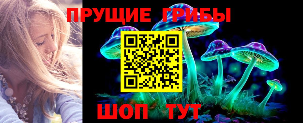 Псилоцибиновые грибы Psilocybine cubensis Михайловск